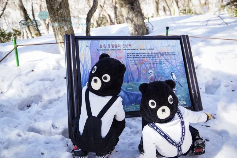 DSC00036_2.jpg?type=w773