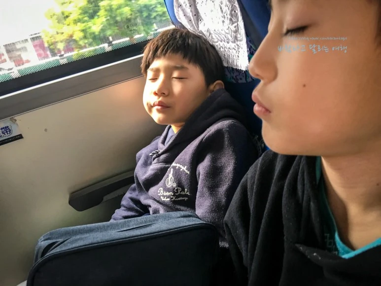 iPhone_IMG_3689_Short1200mark%EB%B0%94%EB%9E%8C.jpg?type=w773