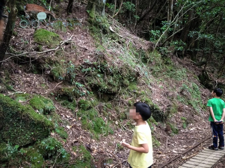 image_1741208031486454603282.jpg?type=w773