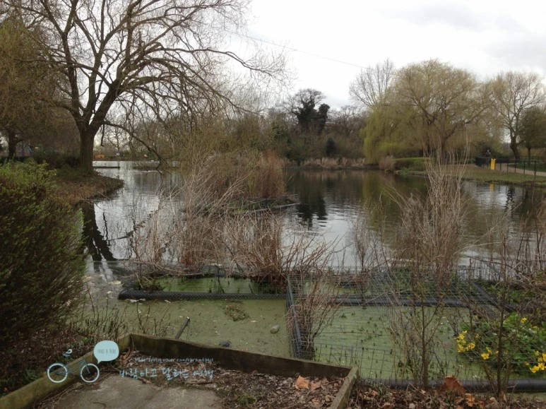 IMG_1537.jpg?type=w773