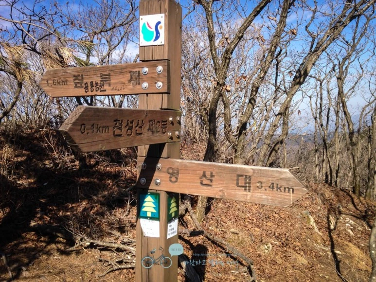 IMG_1563-_Wide1080mark.jpg?type=w773