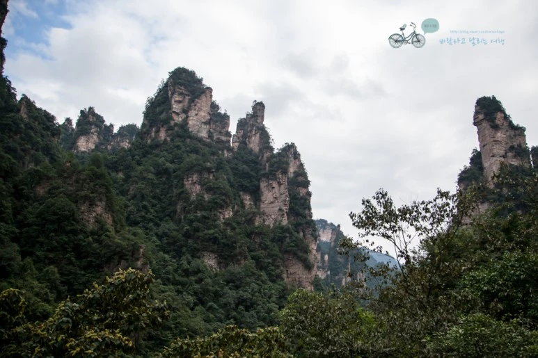 IMG_1363_Wide1080mark%EB%B0%94%EB%9E%8C.jpg?type=w773