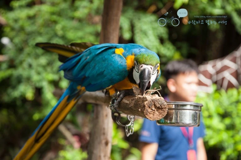 IMG_0775_wide1080%EB%B0%94%EB%9E%8Cmark.jpg?type=w773