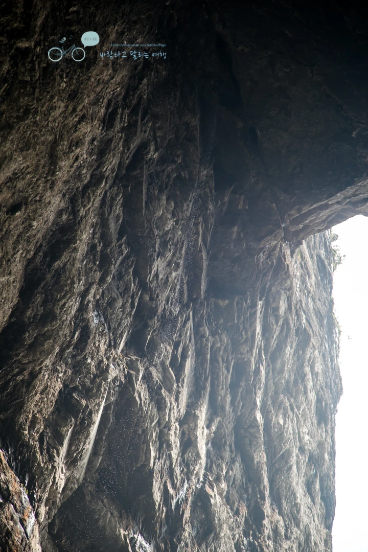 IMG_0477_Wide1080mark%EB%B0%94%EB%9E%8C.jpg?type=w773