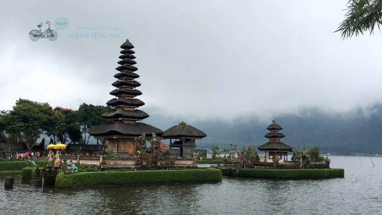 IMG_1059_wide1080mark%EB%B0%94%EB%9E%8C%ED%83%80%EA%B3%A0.jpg?type=w773