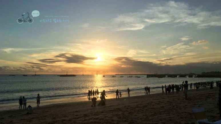 IMG_0990_wide1080mark%EB%B0%94%EB%9E%8C%ED%83%80%EA%B3%A0.jpg?type=w773