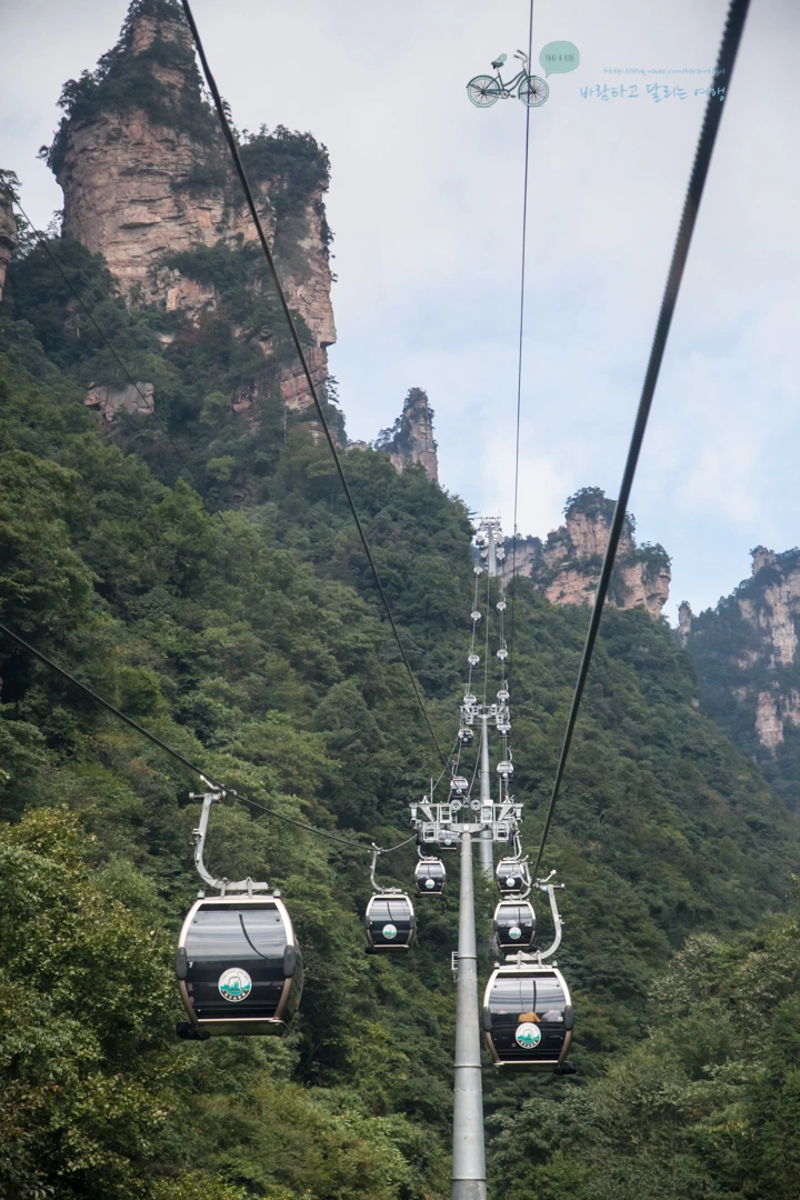 IMG_1135_Wide1080mark%EB%B0%94%EB%9E%8C.jpg?type=w773