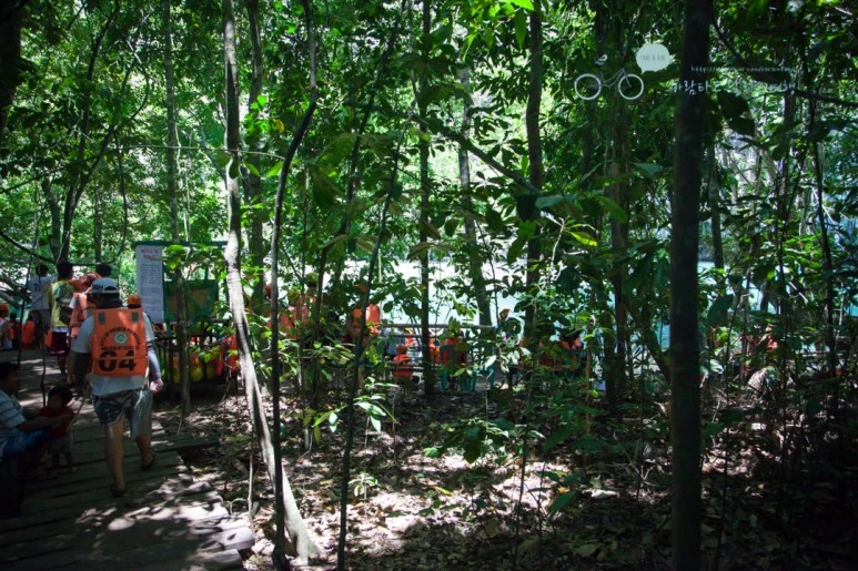 IMG_2065_Wide1080mark%EB%B0%94%EB%9E%8C%ED%83%80%EA%B3%A0.jpg?type=w773