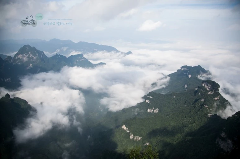 IMG_0120_Wide1080mark%EB%B0%94%EB%9E%8C.jpg?type=w773