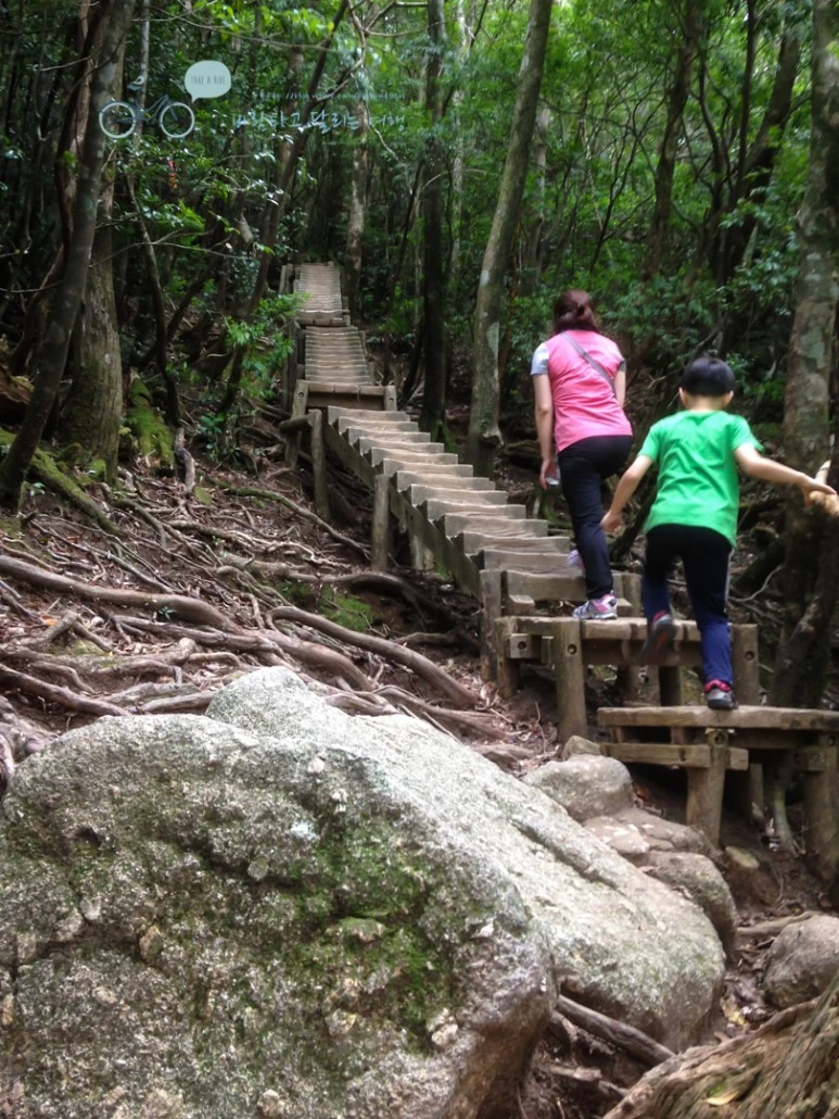 IMG_1363_wide1080.jpg?type=w773