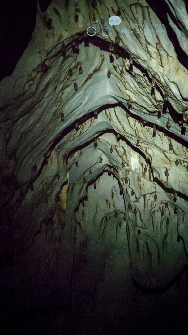 _1020877_Wide1080mark.jpg?type=w773