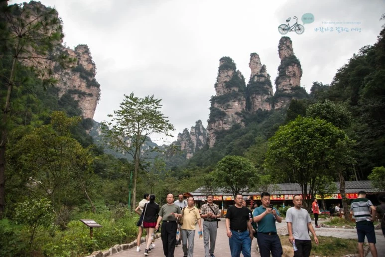 IMG_1104_Wide1080mark%EB%B0%94%EB%9E%8C.jpg?type=w773