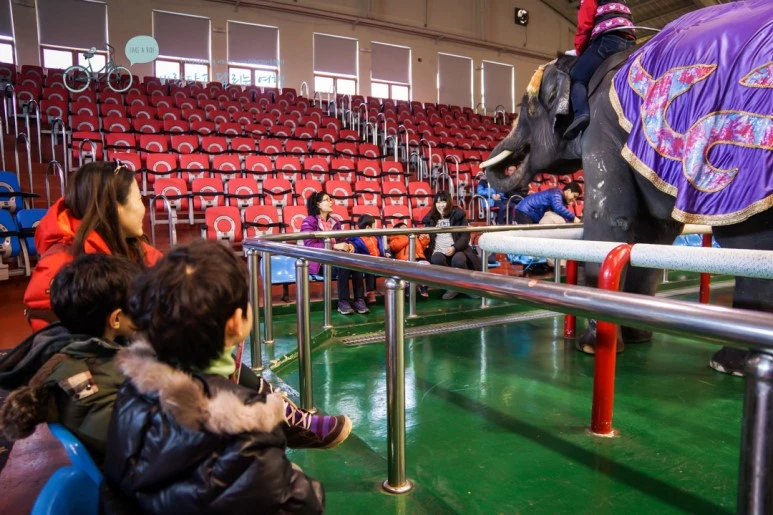 DSC00164_5.jpg?type=w773