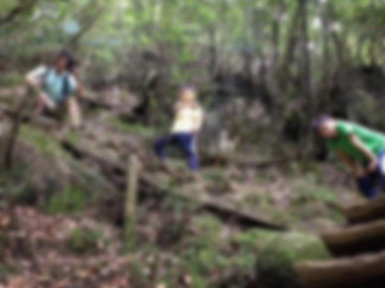 image_7407747031486446562035.jpg?type=w773