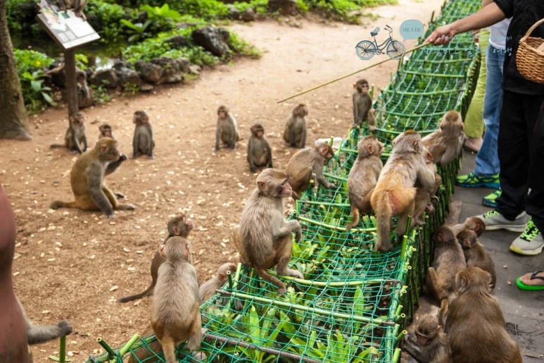 IMG_1324_wide1080%EB%B0%94%EB%9E%8Cmark.jpg?type=w773