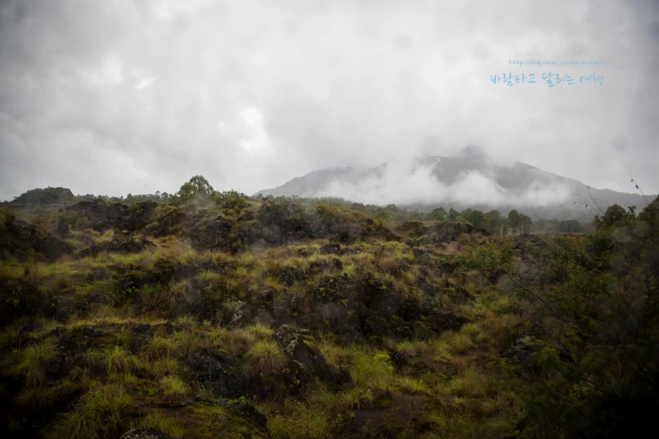 5D_IMG_1837_Short1200mark%EB%B0%94%EB%9E%8C.jpg?type=w1