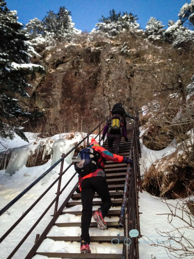 IMG_5302_%EB%B3%B4%EC%A0%95%EC%9B%90%EB%B3%B8_Wide1080_Watermark.jpg?type=w773