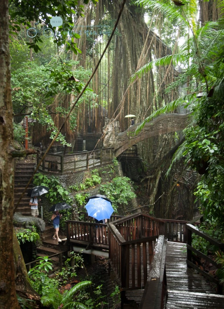 IMG_0238_Wide1080mark%EB%B0%94%EB%9E%8C%ED%83%80%EA%B3%A0-2.jpg?type=w773