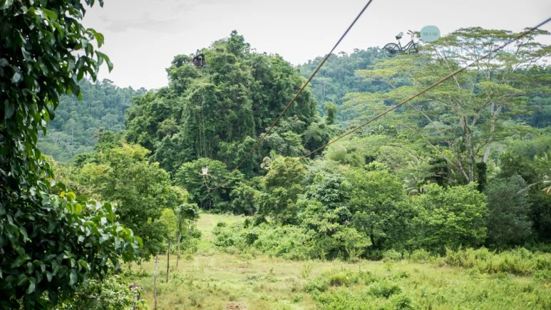 _1030093_Wide1080mark.jpg?type=w773