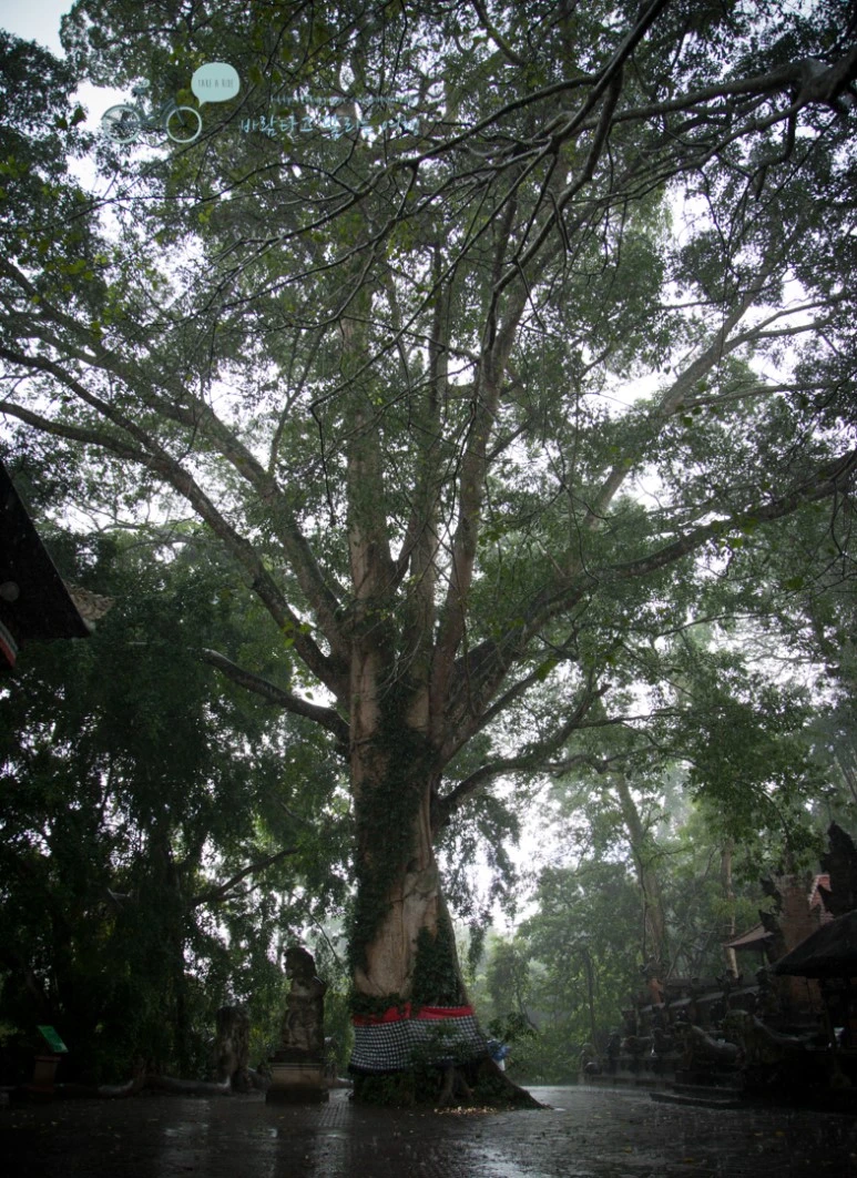 IMG_0232_Wide1080mark%EB%B0%94%EB%9E%8C%ED%83%80%EA%B3%A0-3.jpg?type=w773