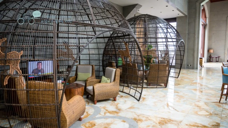 _1010085_wide1080_Wide1080mark_%EB%B0%94%EB%9E%8C.jpg?type=w773