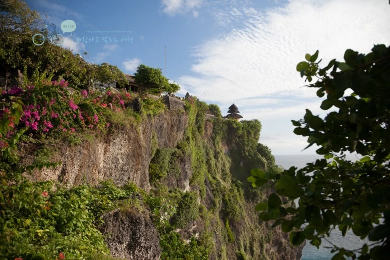 IMG_0588_Wide1080mark%EB%B0%94%EB%9E%8C%ED%83%80%EA%B3%A0-2.jpg?type=w773