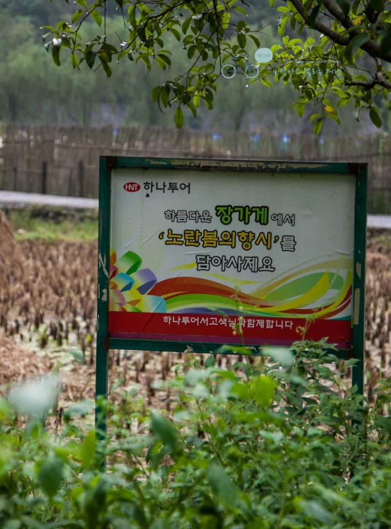 IMG_1084_Wide1080mark%EB%B0%94%EB%9E%8C.jpg?type=w773