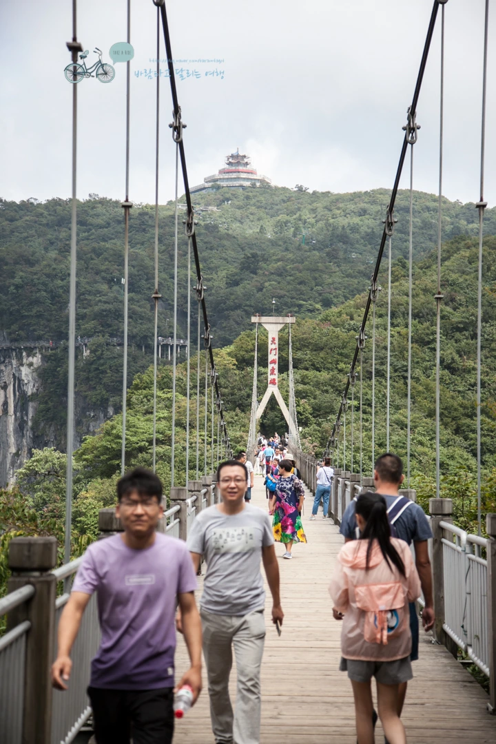 IMG_0229_Wide1080mark%EB%B0%94%EB%9E%8C.jpg?type=w773