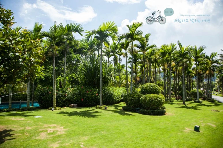 IMG_0540_wide1080%EB%B0%94%EB%9E%8Cmark.jpg?type=w773