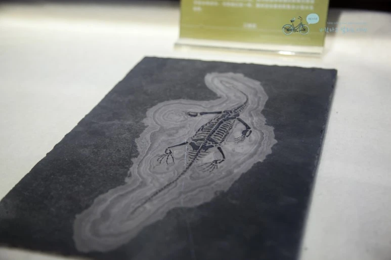 IMG_1398_Wide1080mark%EB%B0%94%EB%9E%8C.jpg?type=w773