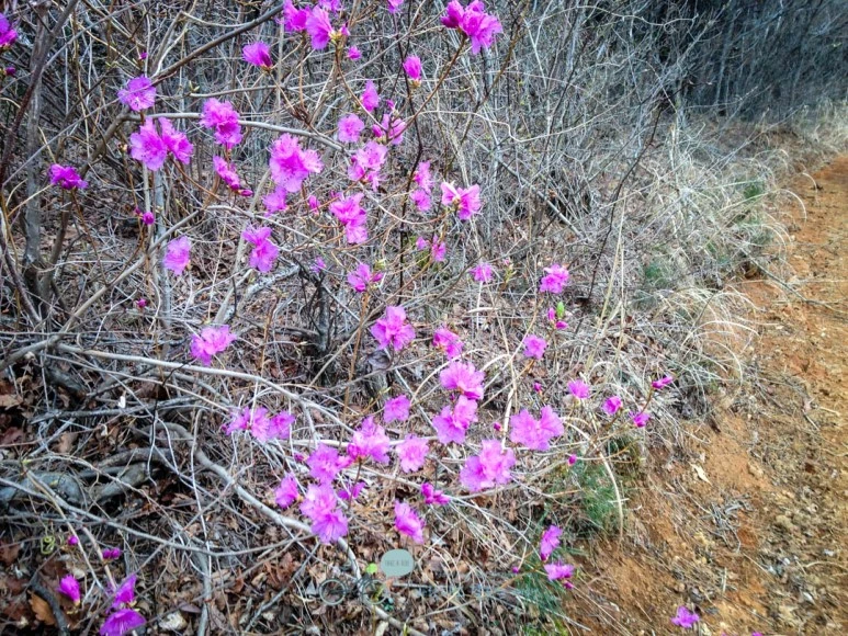 IMG_1889-_Wide1080mark.jpg?type=w773