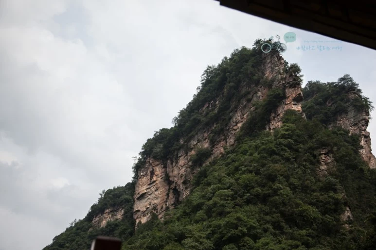 IMG_1320_Wide1080mark%EB%B0%94%EB%9E%8C.jpg?type=w773