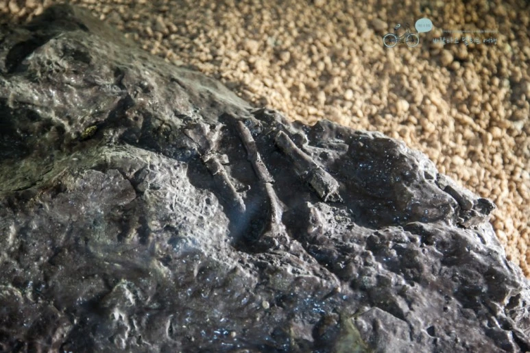 IMG_1391_Wide1080mark%EB%B0%94%EB%9E%8C.jpg?type=w773