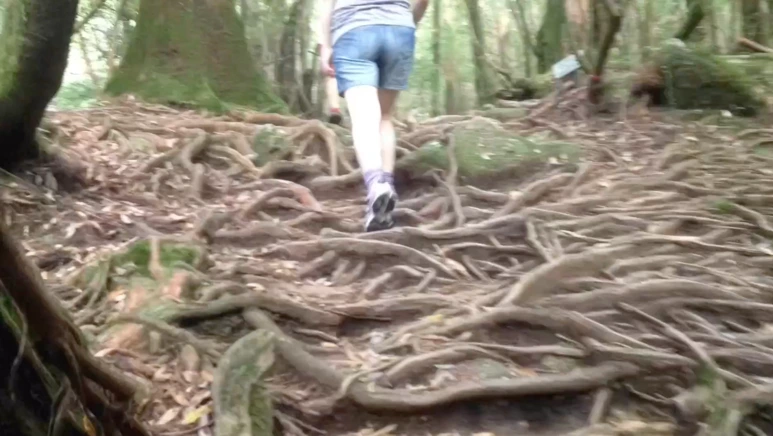 %EC%8A%A4%ED%81%AC%EB%A6%B0%EC%83%B7_2017-02-03_11.30.22.png?type=w773