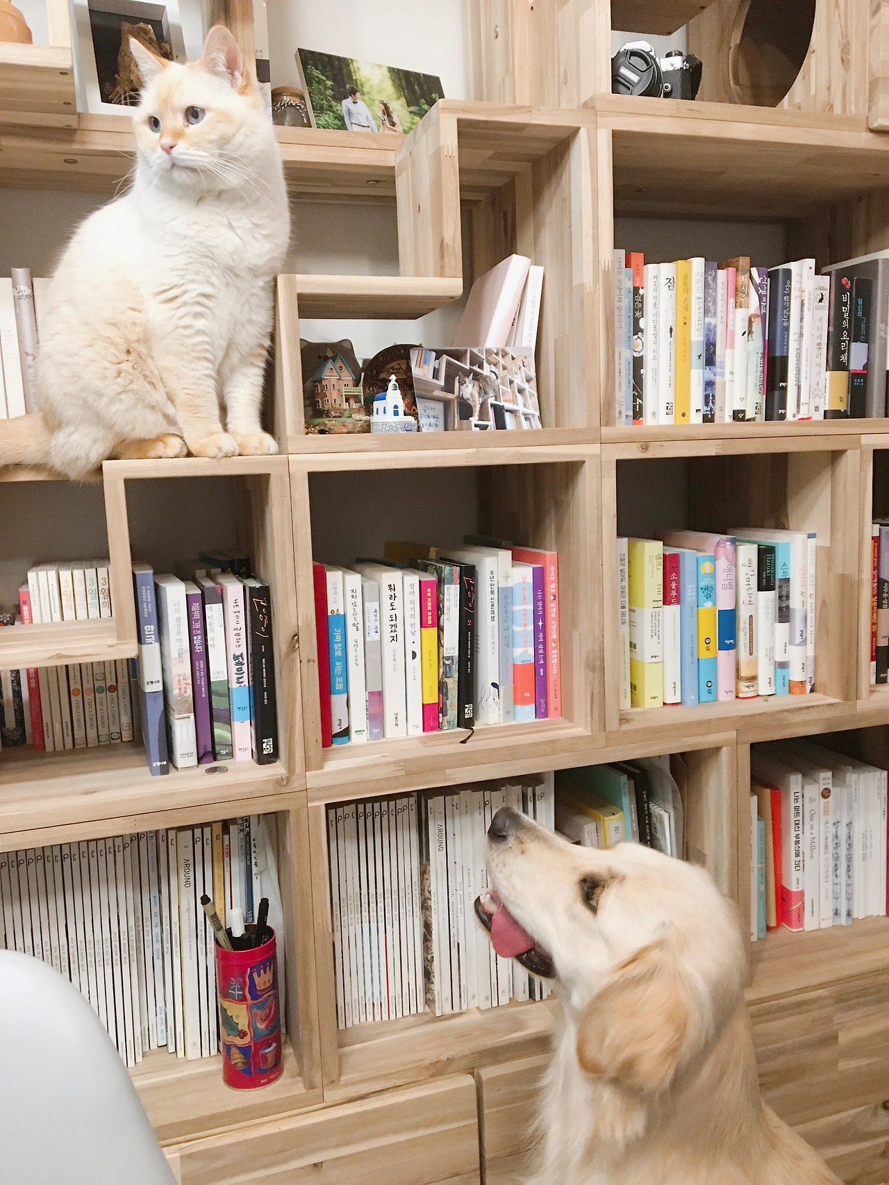 [박은지] 사진 2.JPG