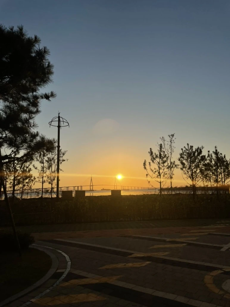 IMG_3393.jpg?type=w773