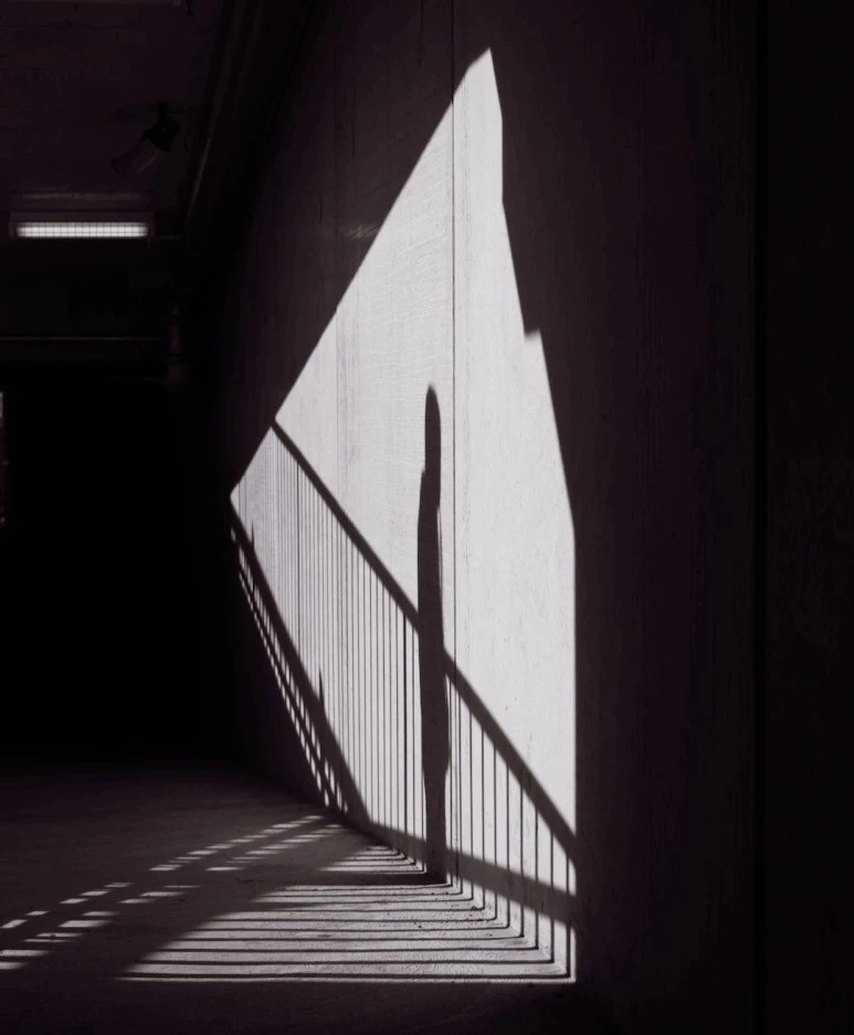 SE-569b1d23-ac69-45f7-8c9b-96dab4179fbd.jpg?type=w773