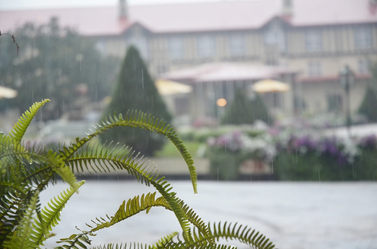 여행작가 서현지 브런치 여행기 추천(19).JPG