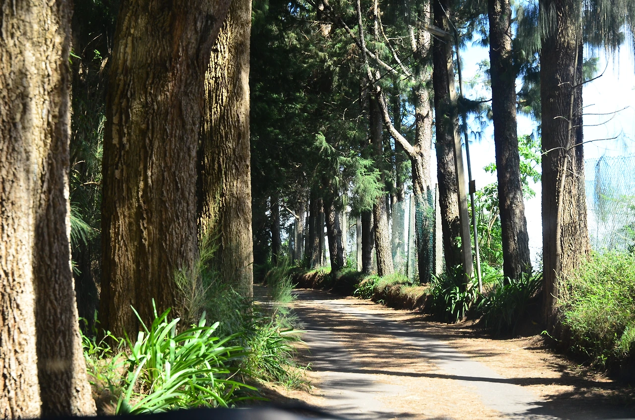 여행작가 서현지 대박기원 파이팅 (7).JPG