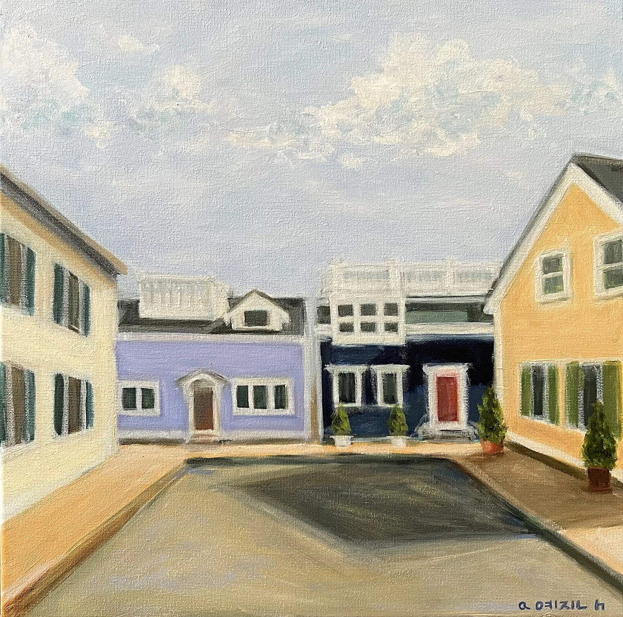 Colorful houses by the shore .heic