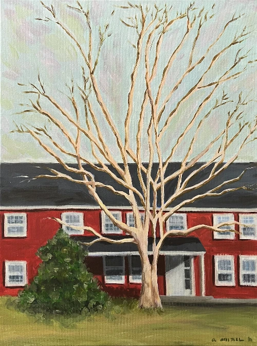 Red house on three corners .heic