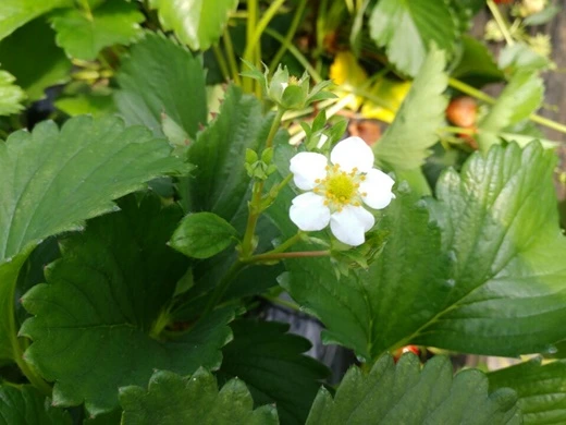 c_1_000620180424203532359841.jpg?type=w3