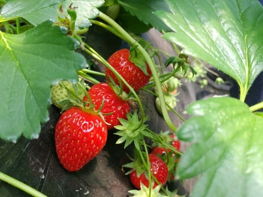 c_2_000620180424203532359841.jpg?type=w3