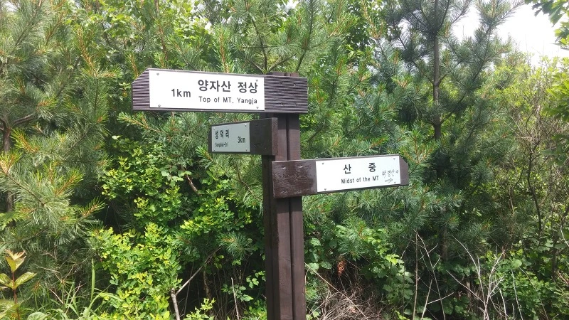 267A51335762606234AF00