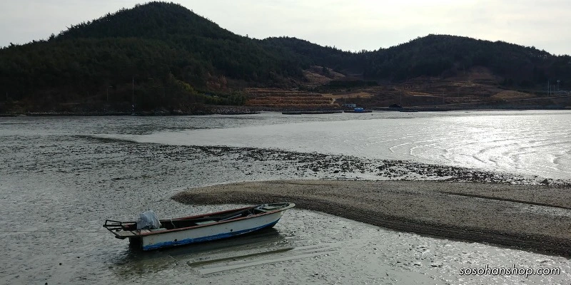 99BB5F455A36119A17DFA6