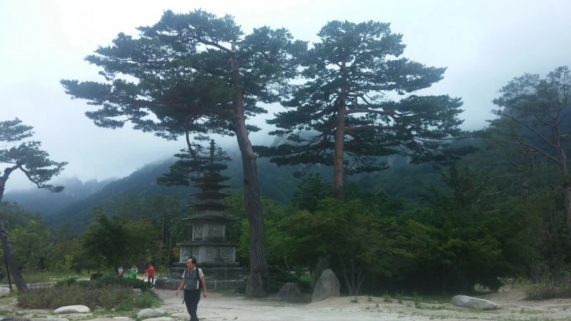 26406B43577F8D9535A728