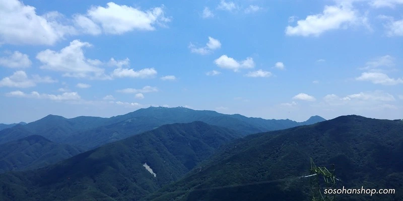 234C383359783A8903CE82