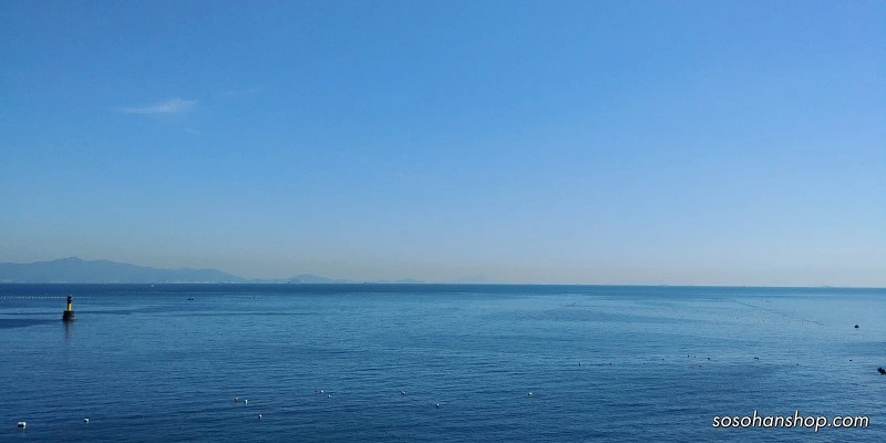 998F8C4A5A35F8DA2194CB