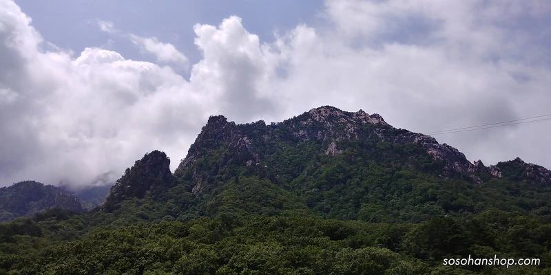 2672223D595CE6FD29FC43