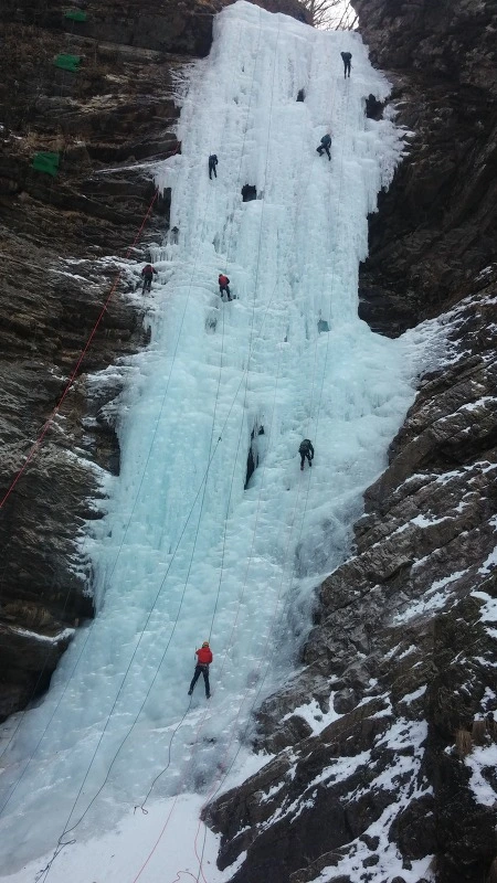 226E143358A7A465088B56